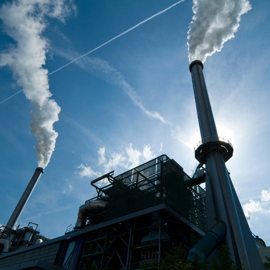 Air Pollution: The Biggest Environmental Threat to UK Citizens – What We Can Do About It