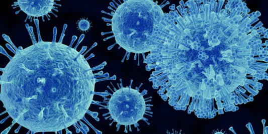 What is Norovirus and How Can We Prevent It?